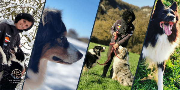 Certificato Educatore Cinofilo