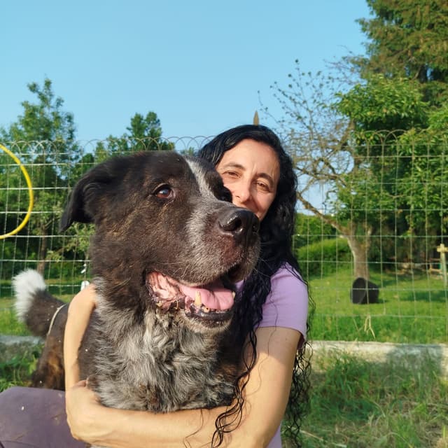 Alessandra, fondatrice e docente principale di Dog Connection Accademy