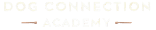 Dog Connection Accademy
